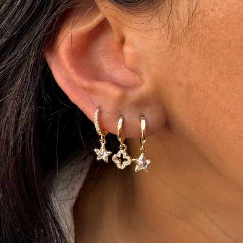 ARGOLLAS CON DIJE